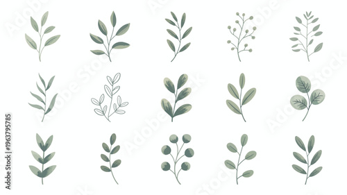A collection of delicate watercolor leaf illustrations arranged on a white background showcasing varied shapes and subtle green tones high quality professional detailed modern elegant stylish