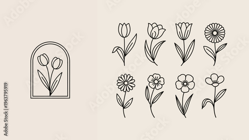 A minimalist design featuring delicate line art illustrations of various blooming flowers and botanical elements against a neutral background high quality professional detailed modern elegant stylish