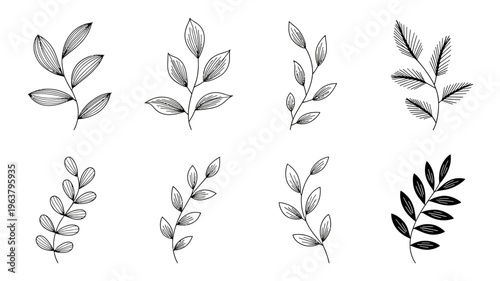 A collection of delicate hand drawn botanical illustrations depicting various leaf shapes and arrangements in a minimalist style high quality professional detailed modern elegant stylish clean