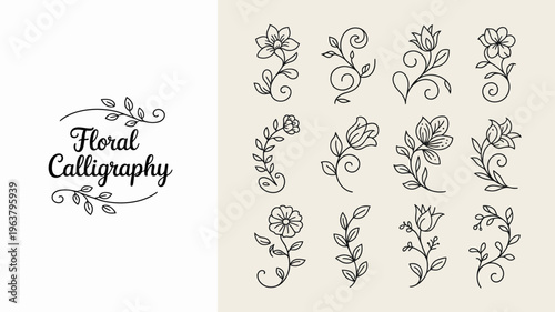 A collection of delicate floral illustrations and calligraphy elements are displayed on a plain light beige background high quality professional detailed modern elegant stylish clean crisp