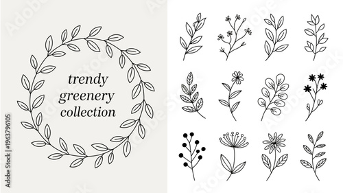 A collection of delicate hand drawn botanical illustrations featuring various leaves branches and floral elements in a minimalist style high quality professional detailed modern elegant stylish