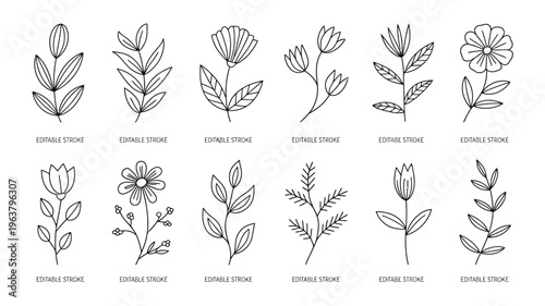 A collection of hand drawn floral elements including various leaves and blooms presented in a simple black and white line art style high quality professional detailed