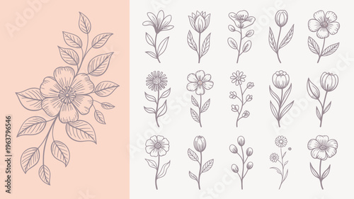A collection of delicate hand drawn floral illustrations in shades of pink featuring various blooming flowers and leafy stems high quality professional detailed modern elegant stylish
