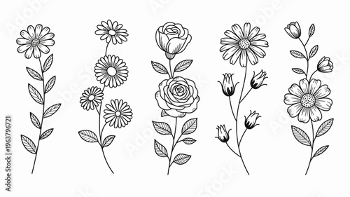 A delicate collection of hand drawn floral stems and blossoms featuring roses daisies and other botanical elements in black ink high quality professional detailed modern elegant