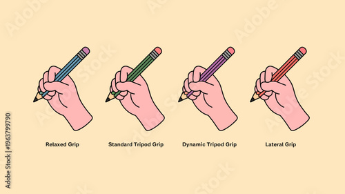 Four different hand positions are illustrated showing variations in pencil grips for writing labeled with descriptive names high quality professional detailed modern elegant stylish clean crisp