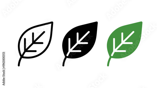 Three stylized leaf icons are displayed one outlined one solid black and one filled with green showing variation high quality professional detailed modern elegant stylish clean