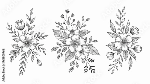 A delicate arrangement of three floral sketches depicts blossoming flowers and foliage in a consistent hand drawn black and white style high quality professional detailed modern