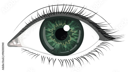 Close-up Green Eye Iris Detail, Human Vision Concept for Medical & Science Marketing