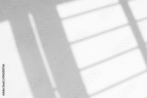 Shadow overlay effect isolated on transparent background, png. Mockup of abstract transparent shadow overlay effect and natural lightning scene. Leaves and window pane shadow overlay effect.