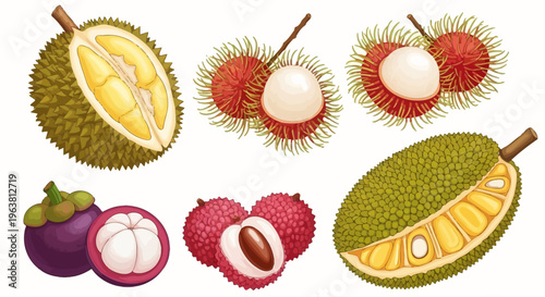Exotic fruits arrangement with durian, rambutan, mangosteen on white background