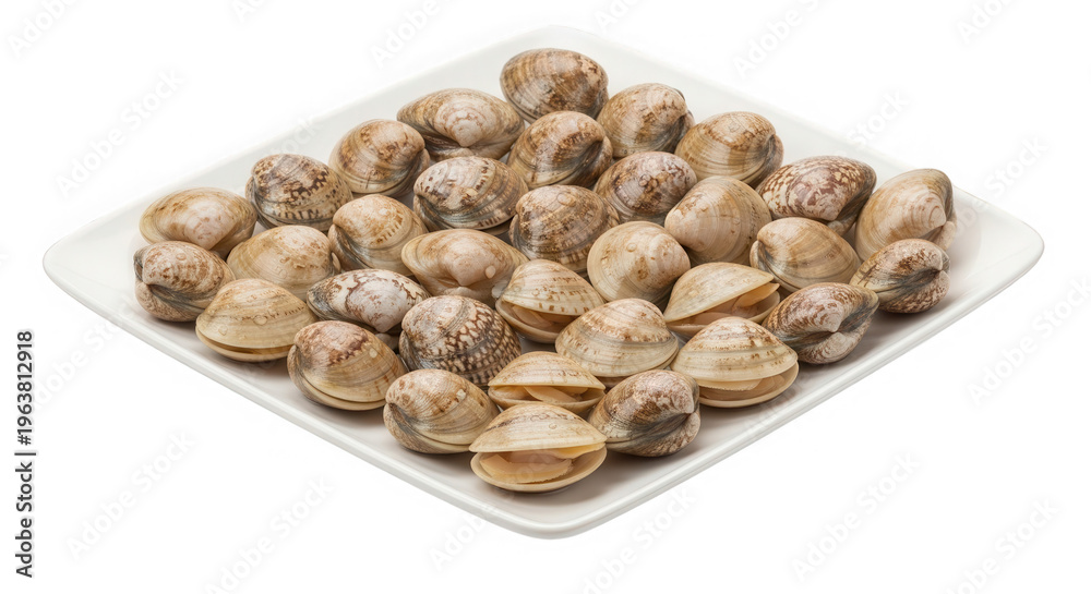 Obraz premium Fresh raw clams on white plate isolated on transparent background