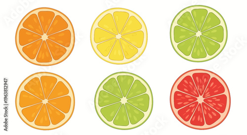A vibrant illustration of orange, lemon, lime, and grapefruit slices on a white background.