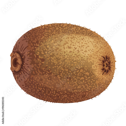 Vibrant and detailed illustration of a whole, fuzzy kiwi fruit, showcasing its natural brown skin and distinctive oval shape, perfect for healthy eating, grocery, or natural food concepts
