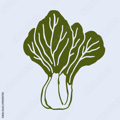 Minimalist vector illustration of a fresh bok choy cabbage. This clean hand drawn vegetable sketch works perfectly for Asian cuisine menus and healthy nutrition content