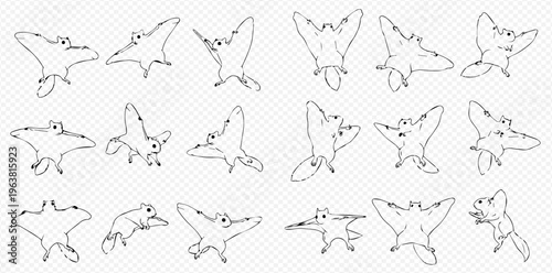 Set of flying squirrel line art illustrations in various poses on a transparent background.