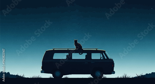 Cat sitting on van roof under starry night sky