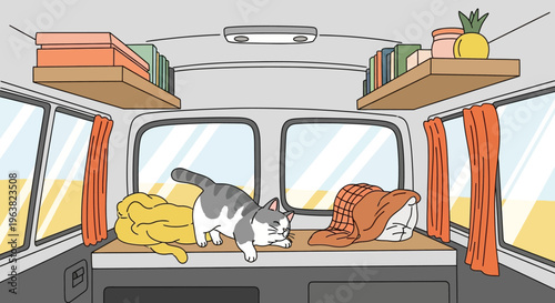 Cat inside camper van interior with shelves and books