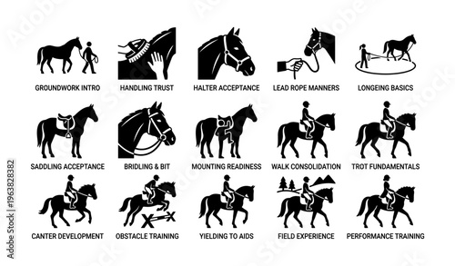 Horse training basics: groundwork, saddling, bridling, and riding techniques