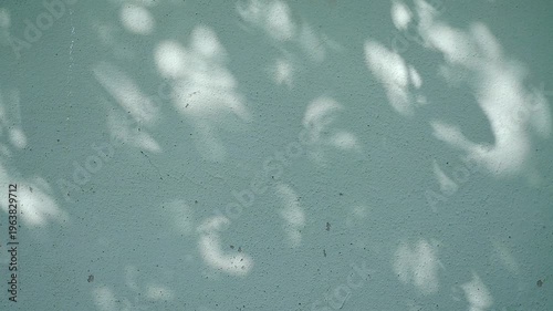 Shadow leaf background wall light blue overlay abstract plant 4k backdrop mockup minimal summer wallpaper, blur nature spring autumn video vintage branching floral, card holidays.