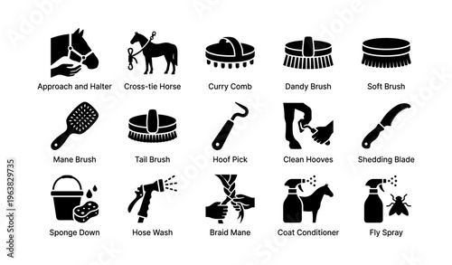 Guide to essential horse grooming tools and techniques
