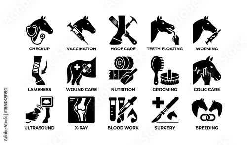 Icons illustrating horse healthcare practices and services