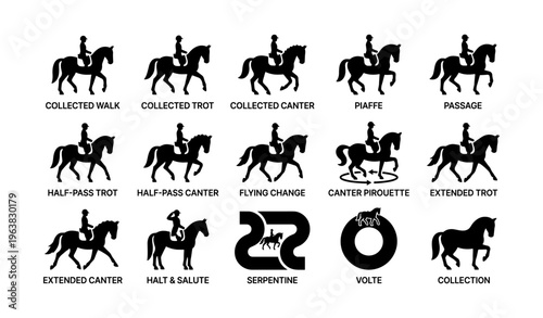 Rider dressage silhouettes: equestrian movements and figures