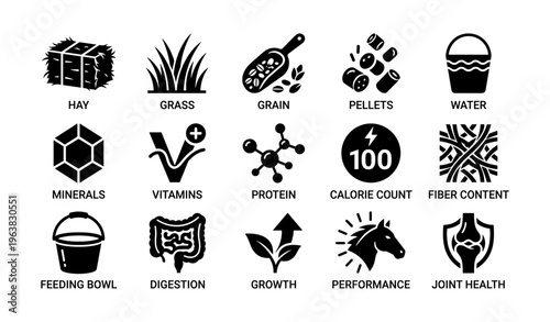 Equine nutrition symbols: hay, grass, grain, protein, digestion, joint health