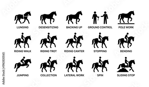 Horse training techniques: visual guide to equine exercises and skills development