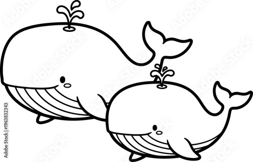 Two whales swimming together in ocean water