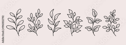 Hand drawn floral elements set black outline