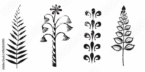 Black and white botanical illustration of various plant stems and flowers