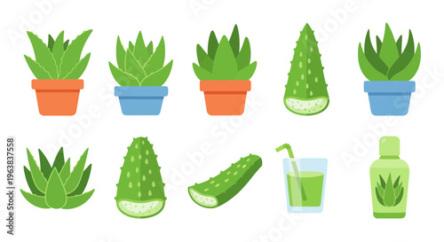 Aloe Vera Plant and Product Collection Vector Illustration Set for Natural Skincare, Health, and Wellness Concepts in Flat Design Style