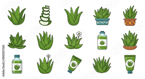 Aloe Vera Plant and Product Vector Illustration Set with Flat Design Style for Natural Skincare, Herbal Medicine, and Wellness Graphics