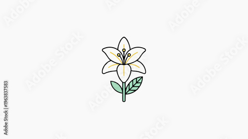 White Easter lily flower vector illustration, spring religious symbol