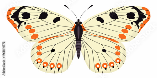 A detailed illustration of a colorful butterfly with spotted wings