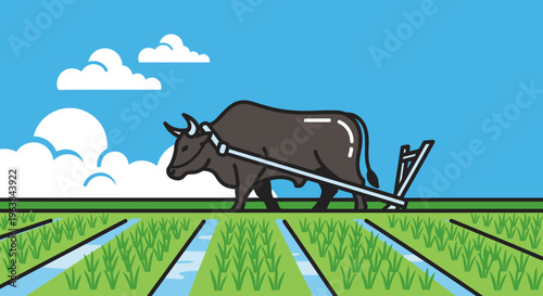 Brown cow pulling plow through field.