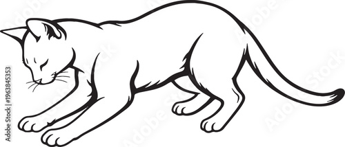 Abyssinian Cat Kneading Paws Black and White Line Art Illustration