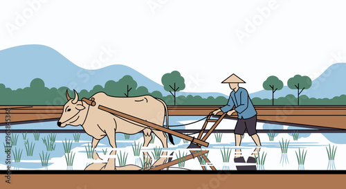 Man plowing rice field with ox.