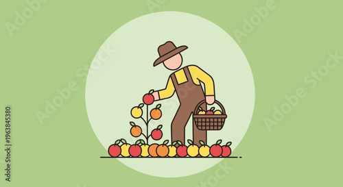 Man picking apples from tree.