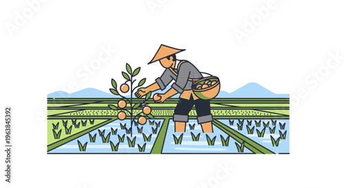 Man wearing hat working in rice field.
