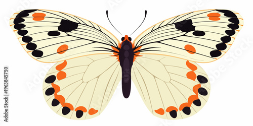A brightly colored butterfly with orange spots and black markings