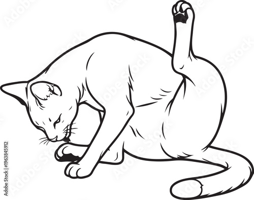 Savannah cat grooming belly line art illustration black and white feline cleaning pose side view