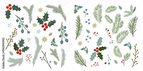 Assorted winter botanical illustrations featuring holly berries and foliage