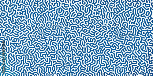Intricate blue line pattern resembling brain coral or neural networks