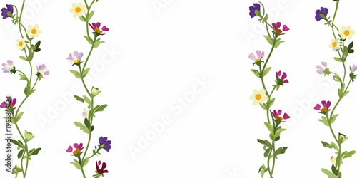 Delicate wildflower stems with colorful blooms arranged on a white background