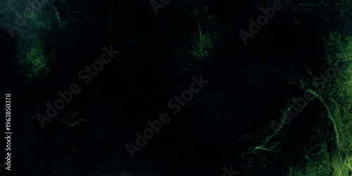 Dark forest silhouette with green mossy tree branches at night