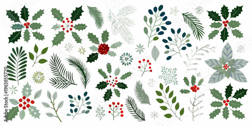 A festive collection of illustrated winter foliage and berry branches