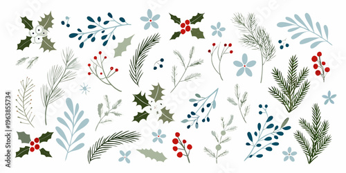 Assorted winter botanical illustrations featuring holly pine and berry branches