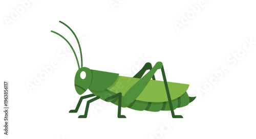 Green grasshopper insect standing alone.