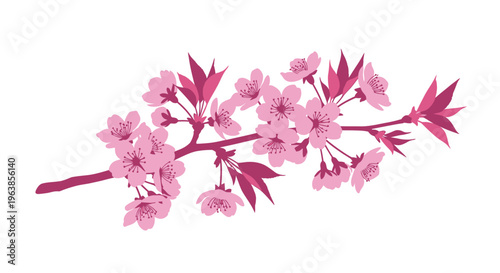 Pink Cherry Blossom Flower Branch Closeup.